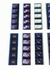Beauty And The Beast Cel Disney 35mm Film Cell Strip Animation Movie Collectable