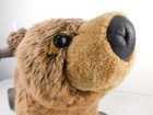 Vtg Steiff-esque Rideable Pull Rider Plush Teddy Bear Animal Ride Toy Toddler Vg