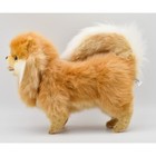 Hansa Pomeranian 39 Bh7018 New Realistic Plush Animals From Japan