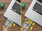 The Pranking Zebra Funny  100 Gag  One Hundred Dollar Bill Joke Office Prank