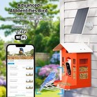 Metal Smart Bird Feeder Camera 2k Hd  Ai Recognition  Solar Orange 32gb Card 