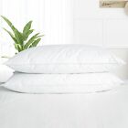 2 Pack White Goose Down Feather Bed Pillows Standard Queen King Size Pillow