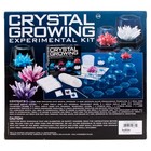 Crystal Growing Science Model Kit With 7 Experiments By 4m
