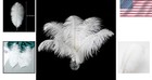 Elegant Large White Ostrich Feathers - 24pcs 8-10 Inch For Weddings   Crafts