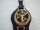 Five Brass Horse Medallions   Vintage Uk   Train   2 Cats  Flower  Isle Of Mann