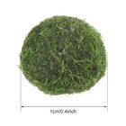 10pc Set 1cm Marimo Moss Ball Cladophora Live Aquarium Plant Fish Aquarium Decor