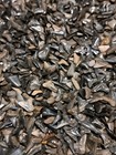 200 Partial   Small Full Fossil Shark Teeth Tooth Per Lot Fl Peace River Meg Era