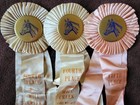 Mill Creek Horse Show Ribbons Awards So  Calif  1973 Cory Walkey Stables