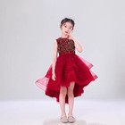 Flower Girls Princess Baby Wedding Party Trailing Dress Kids Vestidos 3-15years