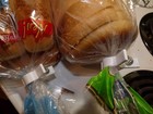Bread And Bagel Clips     6 Pack Food Bag Clips For Bread  Chips  Snacks  Frozen