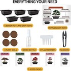 Complete Bonsai Tree Indoor Starter Kit Great Gardening Potted Plant Growing Diy