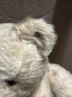 Steiff Young Lion Teddy Bear 1950s Vintage Mohair 5x9in