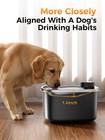 Pokpet Dog Cat Water Fountain Doggy Spout Water Bowl Stainless Steel Large Dog