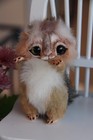 Fur Plush Toy Real Squirrel Handmade Art Doll Artist 5  For Paola Reina Dolls