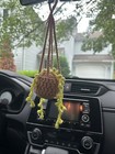Crocheted Hanging Plant