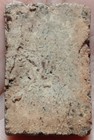 Thai Amulet Buddha Phra Somdej Lp Toh Wat Rakang Phim Yai Original Antique