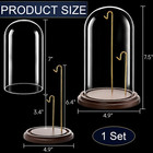 Pocket Watch Display Case  Tall Glass Dome With Wooden Base  Clear