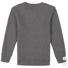Calvin Klein Youth French Terry  Gray
