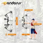 Compound Bow Package For Adults And Teens  0-70 Lbs Draw Weight limbs Made In   