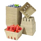 30 Pack Natural Pulp Fiber Berry Basket small Molded Produce Vented Square