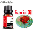 10ml Essential Oils - 100  Pure And Natural - Therapeutic Grade - Free Shipping