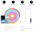 Smart Led Strip Lights  Neon Rope Light With App remote Control  Color Changing