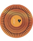  Alkaline Trio - Maybe I ll Catch Fire 25 Year Anniversary - Zoetrope Vinyl 