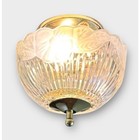 Vintage Art Deco Semi Flush Mount Glass Ceiling Light Fixture Floral 30s 40s 50s