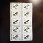 Argentina    1982  Stamps Sc   1344-56 Flowers Complete Set  Blocks Of 10 Each
