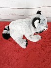 Ganz Webkinz Hm143 Retired Gray Raccoon Stuffed Animal Plush Toy No Code