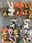 Littlest Pet Shop  you Pick   1-50 Dogs  Cats  Kittens  Shorthair  Turtle Lps