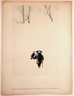Vintage Japanese Falconry Print T  Tanuma Japan Art Snow Culture Ephemera