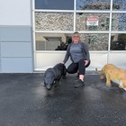 Black Panther Life Size Wild Cat Statue Jungle Display Prop Safari Animal Decor