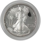 1993 P American Silver Eagle Proof  1 Coin Collectible Ogp Coa