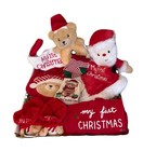 Baby   s 1st Christmas Gift Basket Stocking Outfit Booties Bib Socks Lovey Rattle