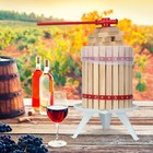 5 Gallon Fruit Wine Press 18 Liter Cider Apple Grape Crusher Manual Juice Maker
