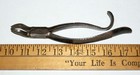Antique Old Sharp   Smith Dental Tool Tooth Extractor Civil War Era Plier