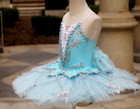 Blue  Professional Ballet Tutu Skirt Girls Party Ballet Dance Costumes  Dress