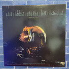 Van Halen   Signed Lp   4 Members   Debut 1978