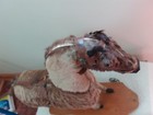 Horse Pull Toy  German   Wooden Base W all 4 Wheels  Fur  Horse Hair Mane   Tail