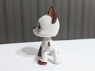Authentic Lps   577 White Brown Great Dane Brown Blue Clover Eyes Tom Dawson