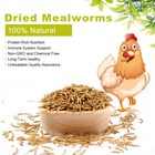 22 Lbs Bulk Dried Mealworms For Wild Birds Food Blue Bird Chickens Hen Treats Us