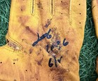 Junior Caminero Game-used   Signed Adidas  Batting Gloves     2026 Gug Loa