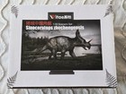 Vitae Sinoceratops Zhuchengensis Dinosaur Model Figure Jurassic Park 2018 1 35