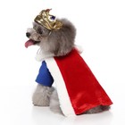 Festive Pet Dog Christmas Costume Cute Funny Outfit For Holiday Party