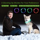 Rechargeable Usb Led Pet Dog Glow Collar Night Safety Adjustable Flash Light Up