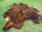 New Large Brindle Brown Cowhide Rug Natural Cowhides Cow Hide Skin 6x6 Feet Rrs