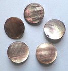 5 Smokey Mother Of Pearl Disc Buttons Brass Shanks Victorian Antique  16