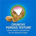 Purina Dentalife Made In Usa Daily Dental Treats For Cats 1 8 Oz   2 Pack 