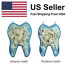 60pcs Temporary Porcelain Crown Posterior anterior Teeth Caps Molar Dental Resin
